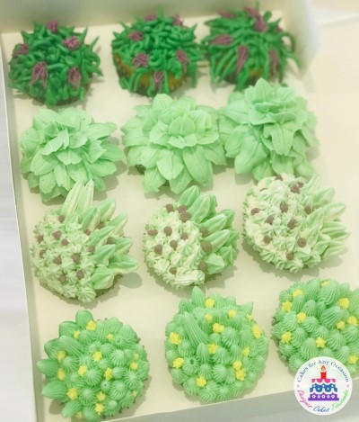 Succulent Cupcakes.jpg